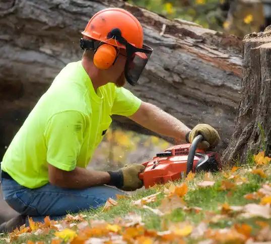 tree services Harrisburg